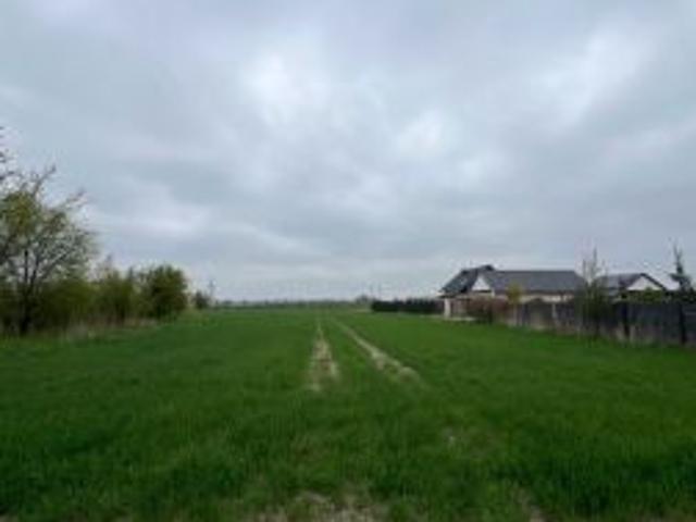 Bezpośrednio, Siedliska, 4200 m² Działka