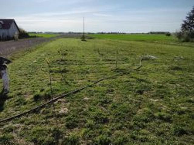 Bezpośrednio, Siedliska, 6000 m² Działka