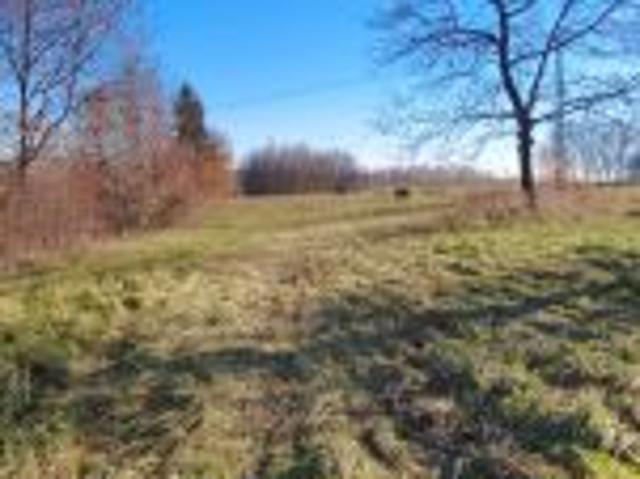 Bezpośrednio, Sielnica, 6400 m² Działka