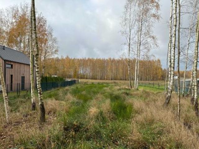 Bezpośrednio, Siemiany, 1158 m² Działka