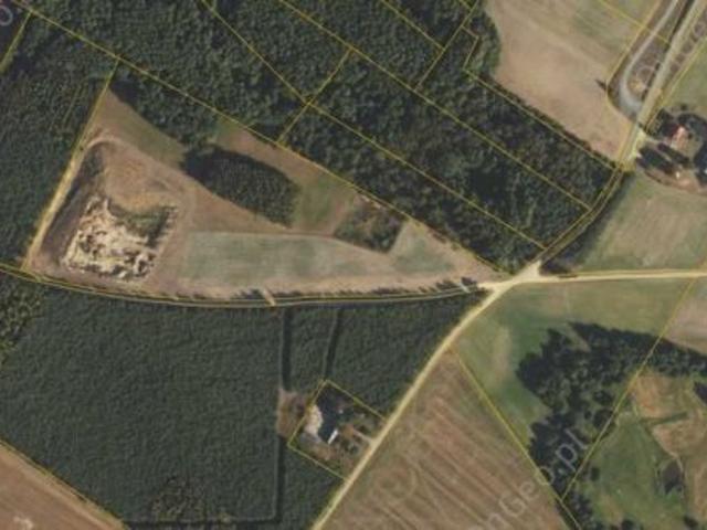 Bezpośrednio, Siemionki, 38500 m² Działka