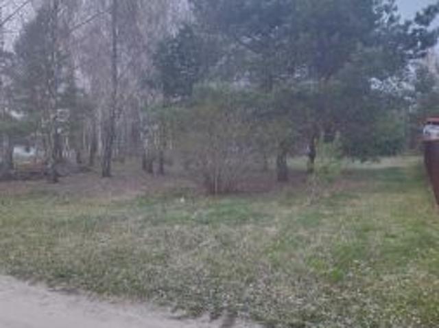 Bezpośrednio, Siennica, 800 m² Działka