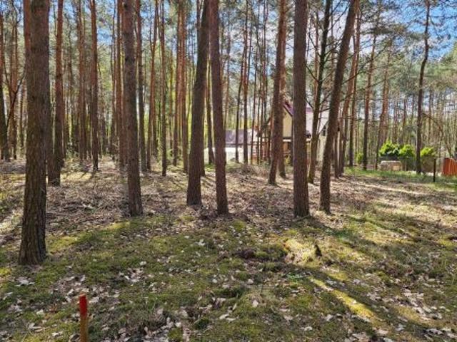 Bezpośrednio, Siestrzeń, 1000 m² Działka