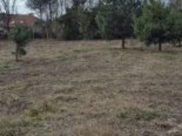 Bezpośrednio, Siestrzeń, 2000 m² Działka
