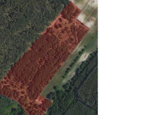 Bezpośrednio, Siercz, 51925 m² Działka