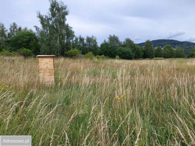 Bezpośrednio, Sierpnica, 1500 m² Działka