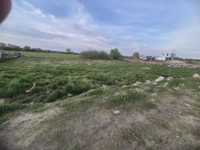 Bezpośrednio, Skwierzyna, ul. Bukowa, 730 m² Działka
