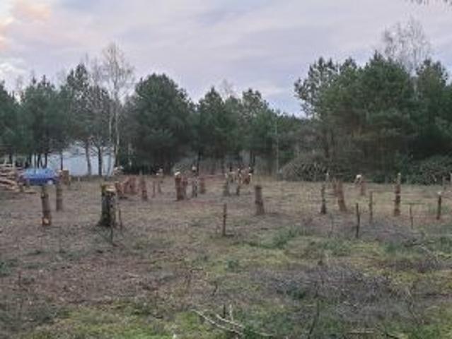 Bezpośrednio, Skórka, 930 m² Działka