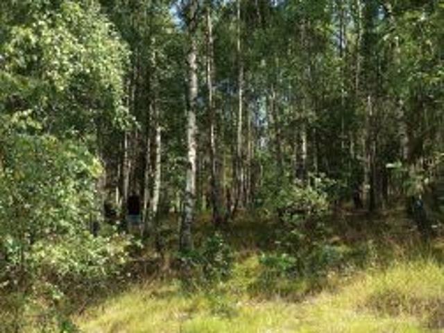 Bezpośrednio, Skorzewo, 2022 m² Działka