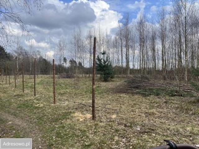 Bezpośrednio, Skotniki, 4460 m² Działka