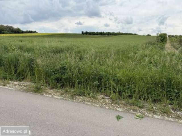 Bezpośrednio, Skrobaczów, 6700 m² Działka