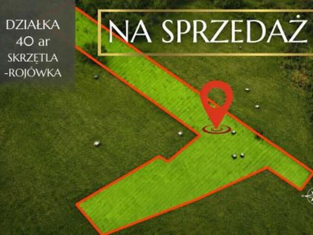Bezpośrednio, Skrzętla Rojówka, 4000 m² Działka