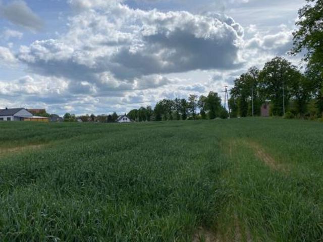 Bezpośrednio, Skrzatusz, 850 m² Działka