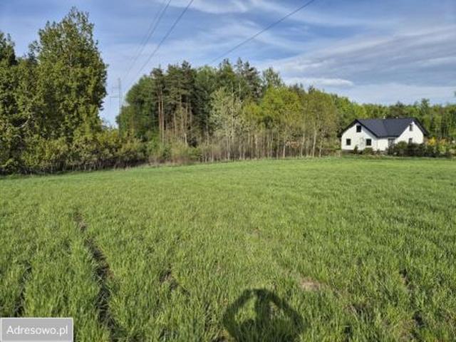 Bezpośrednio, Skrzeszewo, 2464 m² Działka