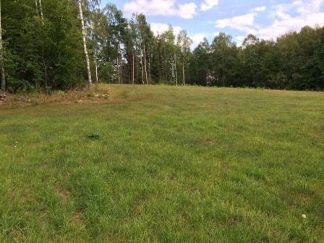Bezpośrednio, Skrzeszewo, ul. Leśna, 11811 m² Działka