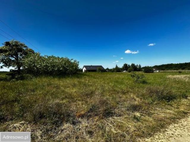 Bezpośrednio, Skrzydlewo, 3000 m² Działka