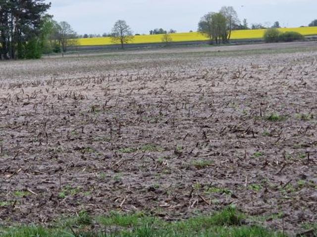 Bezpośrednio, Skrzynka, 1058 m² Działka