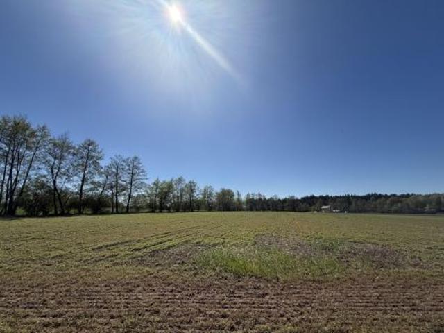 Bezpośrednio, Skrzynka, 801 m² Działka