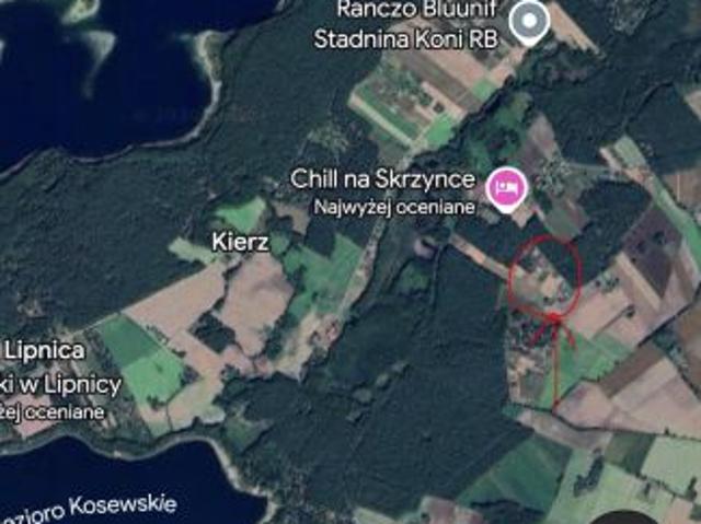 Bezpośrednio, Skrzynka, 850 m² Działka