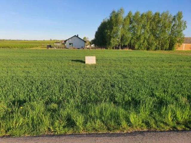 Bezpośrednio, Skrzynice Kolonia, 1474 m² Działka