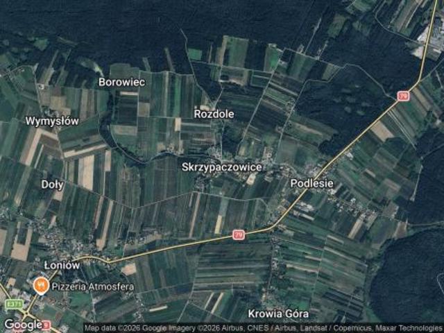 Bezpośrednio, Skrzypaczowice, Doły, 700 m² Działka