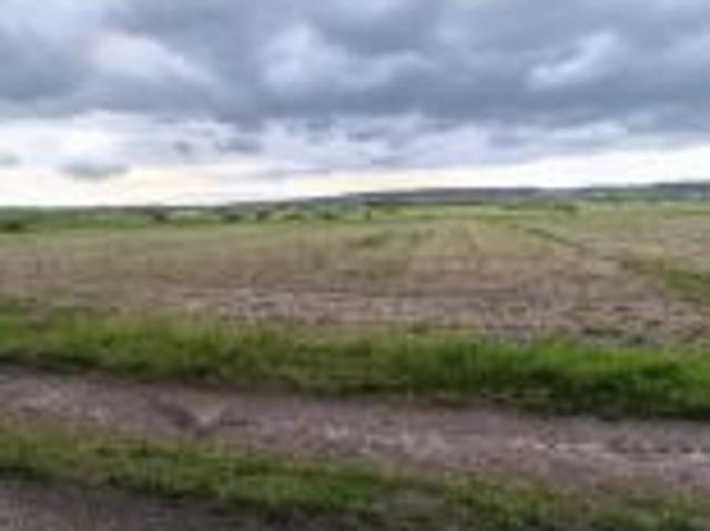 Bezpośrednio, Skrzypiów, 10899 m² Działka