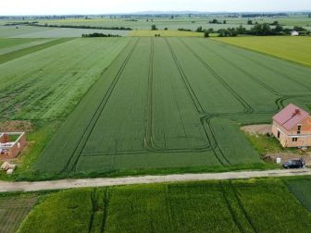 Bezpośrednio, Skrzypnik, ul. Polna, 1100 m² Działka