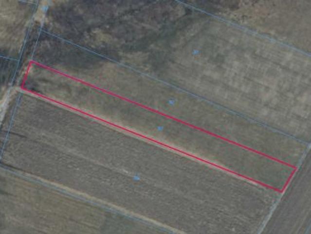 Bezpośrednio, Studnie, 40000 m² Działka