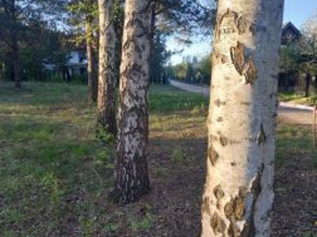 Bezpośrednio, Studzianki, ul. Supraślska, 714 m² Działka