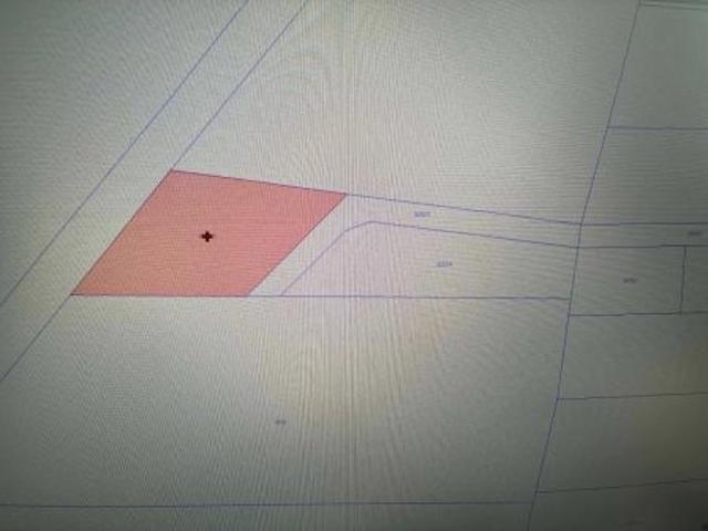 Bezpośrednio, Stale, ul. Konwaliowa, 835 m² Działka