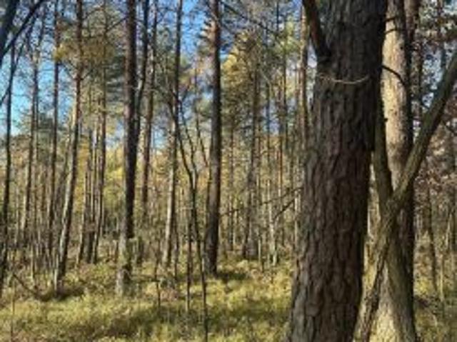 Bezpośrednio, Stanowiska, 26000 m² Działka
