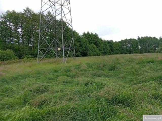 Bezpośrednio, Staniewice, 41800 m² Działka