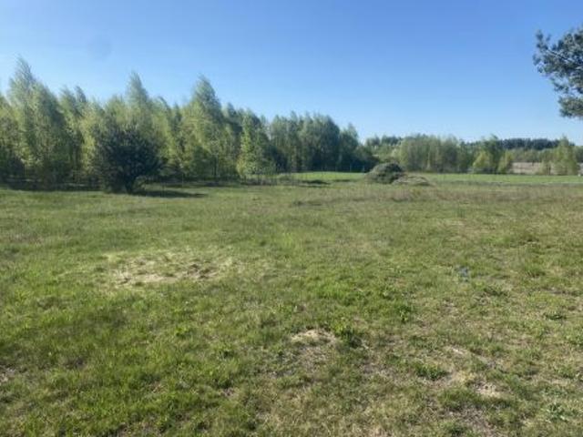 Bezpośrednio, Stanisławowo, 1000 m² Działka
