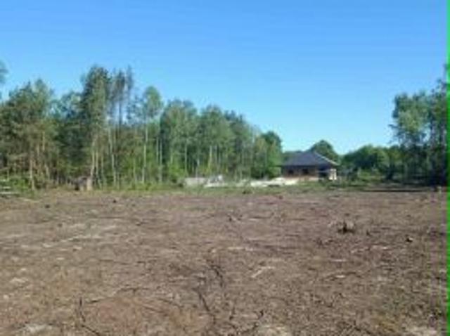 Bezpośrednio, Stany, ul. Borek, 3460 m² Działka