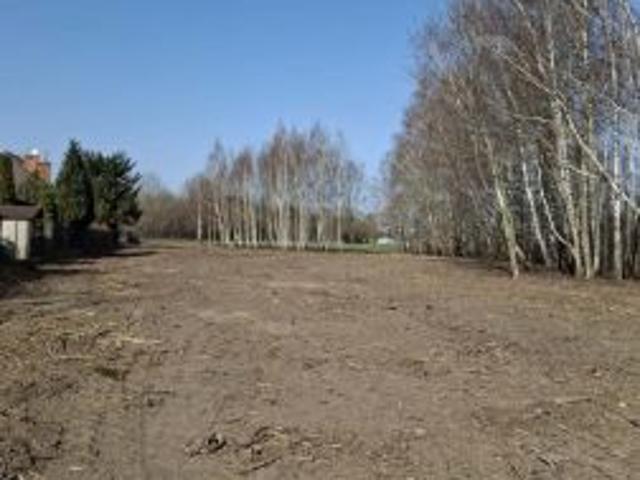 Bezpośrednio, Stasi Las, ul. Długa, 5100 m² Działka