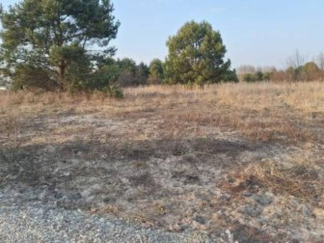 Bezpośrednio, Staszów, ul. Małopolska, 500 m² Działka