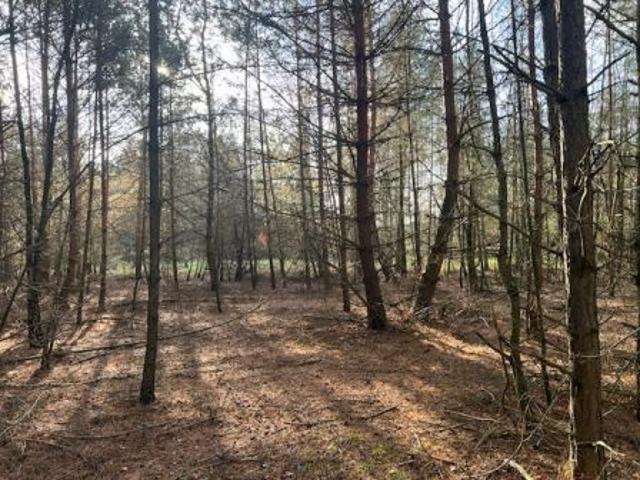 Bezpośrednio, Stara Huta, 23719 m² Działka