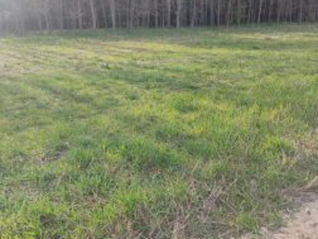 Bezpośrednio, Stara Jedlanka, 6200 m² Działka