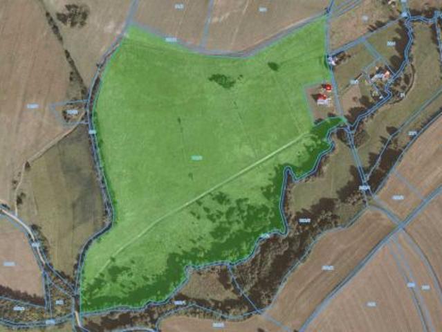 Bezpośrednio, Stara Łomnica, 156157 m² Działka