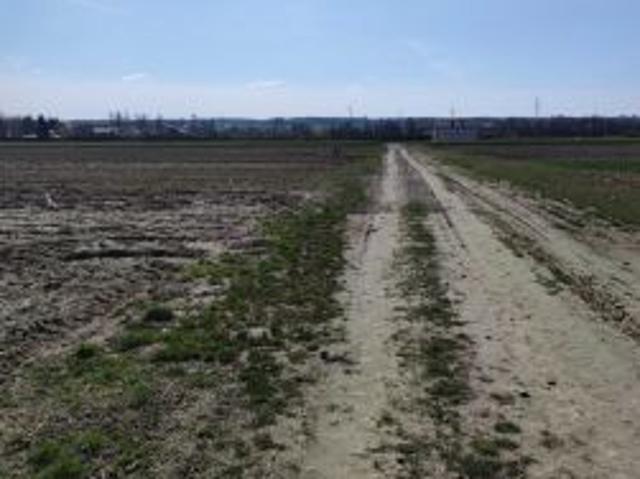 Bezpośrednio, Stara Wieś, ul. Różana, 800 m² Działka