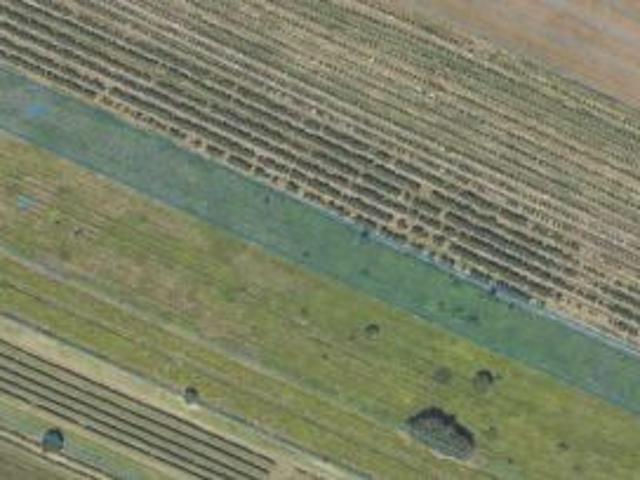 Bezpośrednio, Stare Boiska, 4700 m² Działka