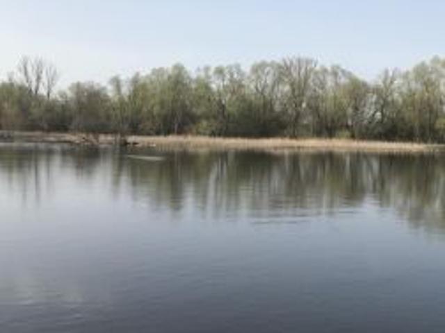 Bezpośrednio, Stare Budy, 76600 m² Działka
