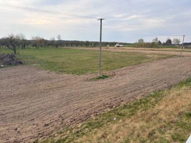 Bezpośrednio, Stare Siekluki, 5000 m² Działka