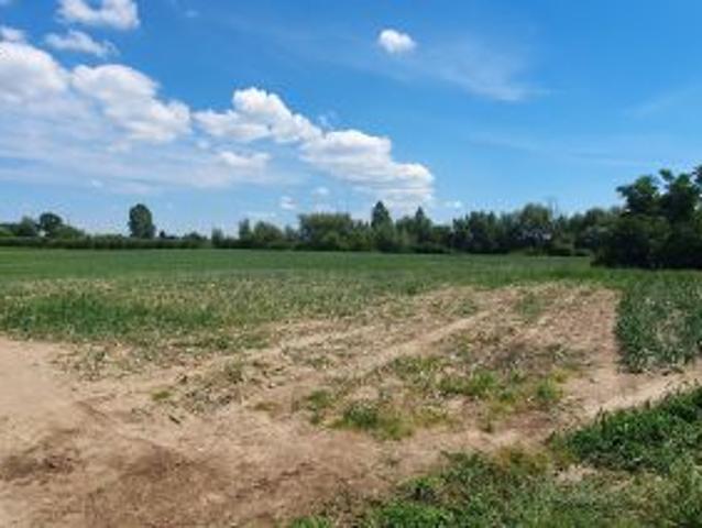 Bezpośrednio, Stare Podole, 14400 m² Działka
