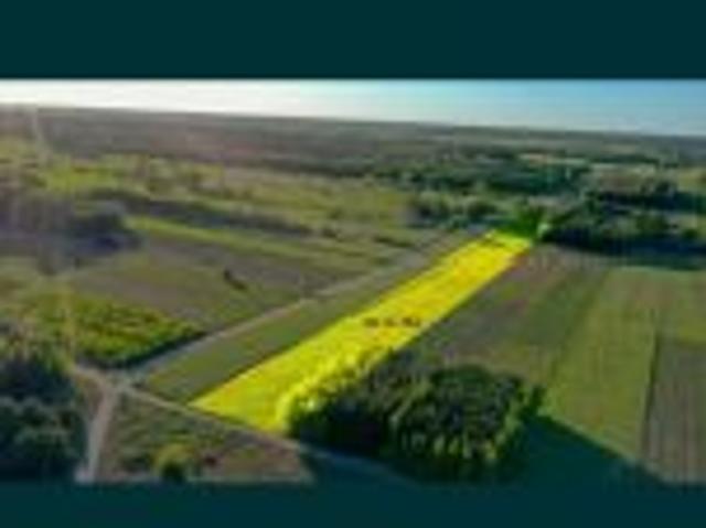 Bezpośrednio, Stary Antonin, 11200 m² Działka