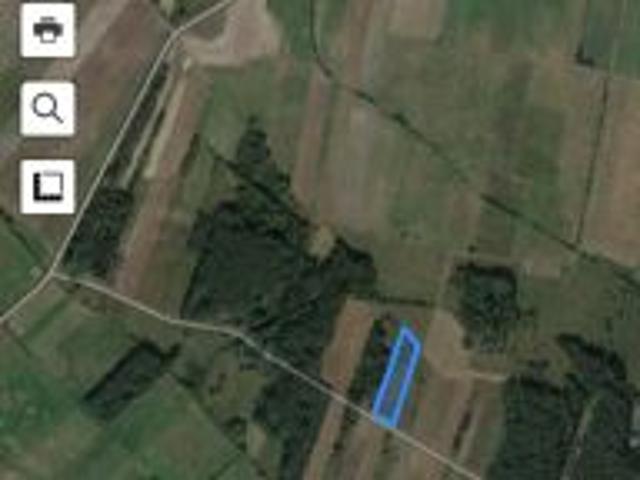 Bezpośrednio, Stary Gózd, 4781 m² Działka