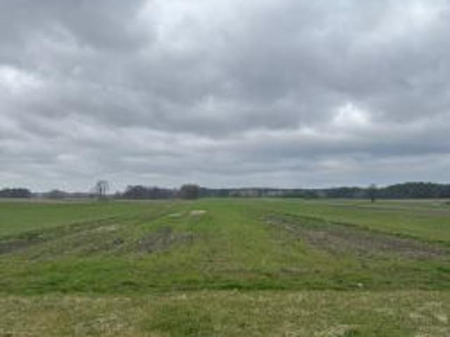 Bezpośrednio, Stary Jamielnik, 24000 m² Działka