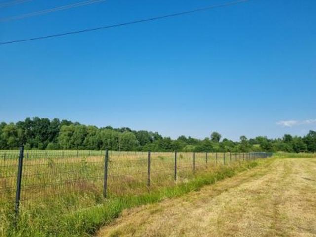 Bezpośrednio, Stary Waliszów, 1800 m² Działka