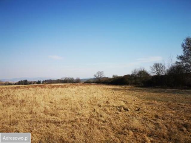 Bezpośrednio, Stary Wielisław, 1000 m² Działka