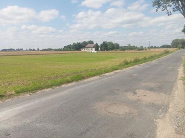 Bezpośrednio, Starzykowo, 3000 m² Działka